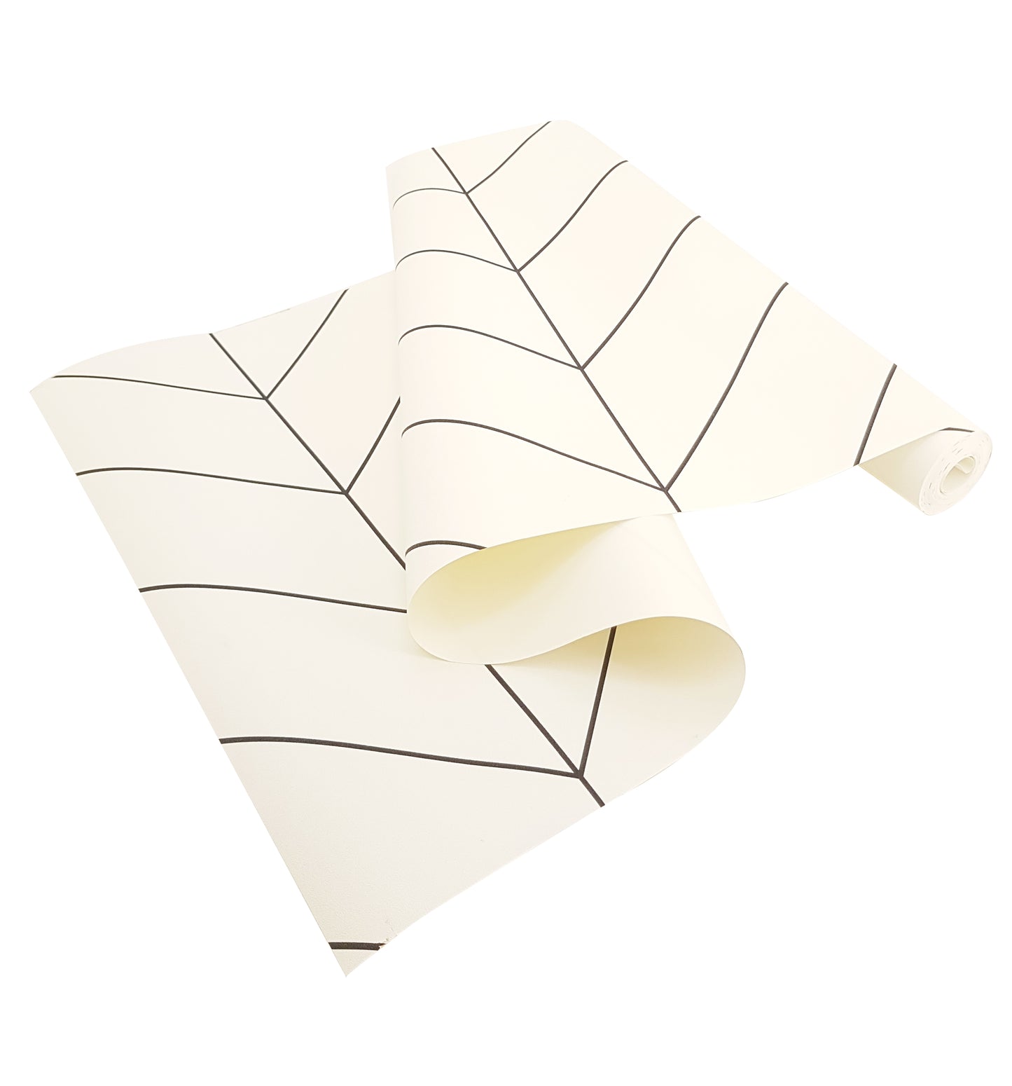 Líneas Minimalistas