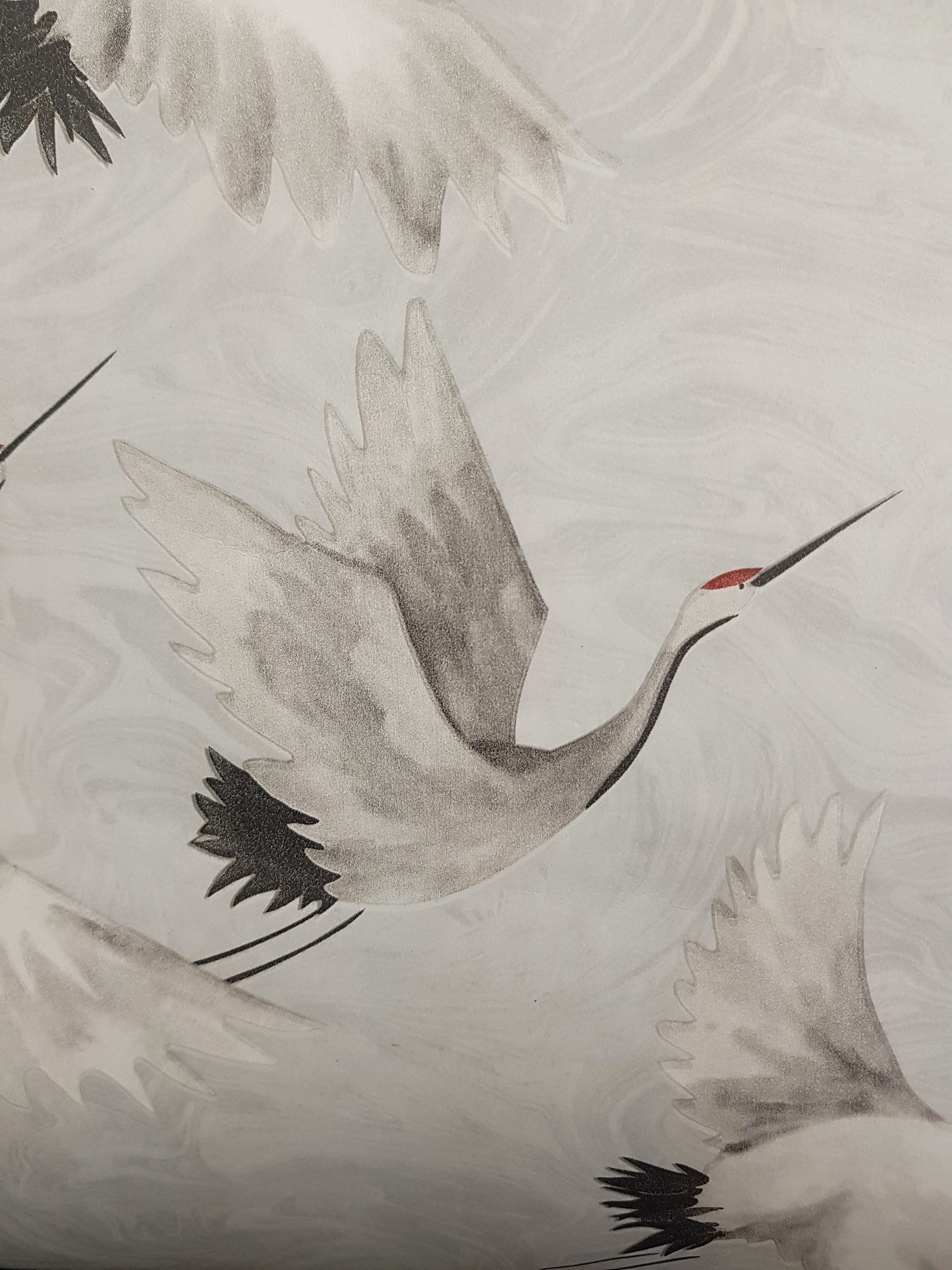 Gaviotas