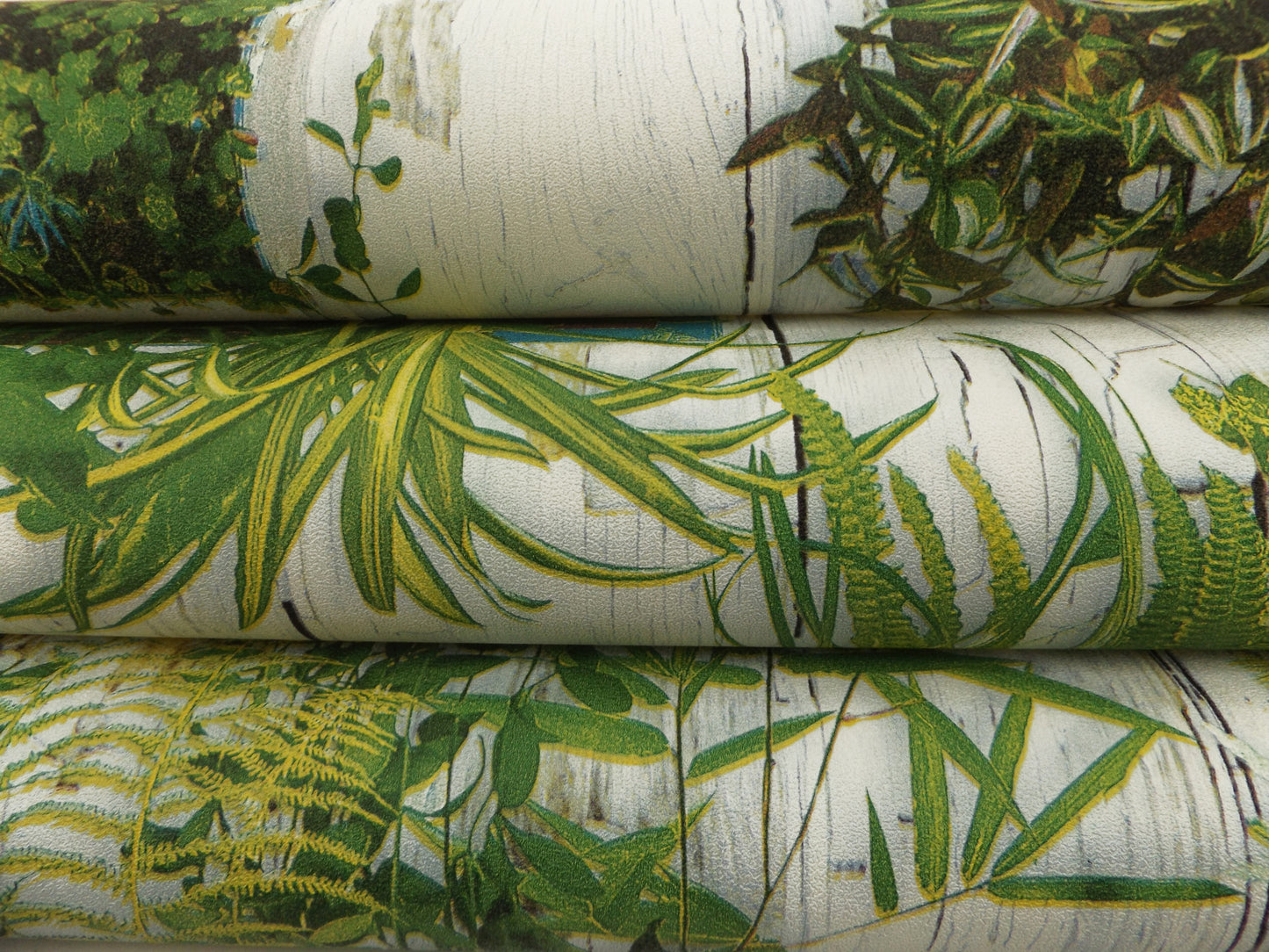 Plantas Decorativas