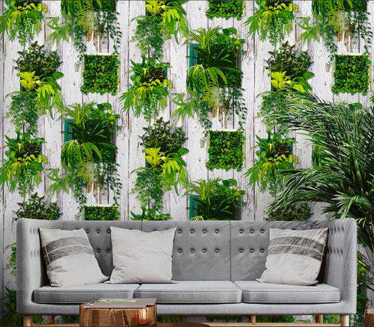 Plantas Decorativas